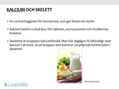  Utterslima – Den Blöta Snäckan med en Smaksensation för Kalcium!